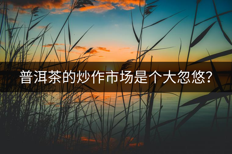 普洱茶的炒作市場是個(gè)大忽悠？