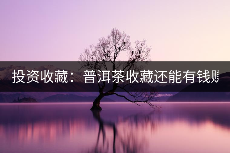 投資收藏：普洱茶收藏還能有錢賺嗎？