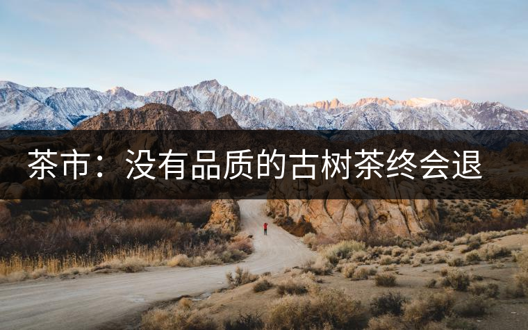 茶市：沒有品質(zhì)的古樹茶終會退出市場