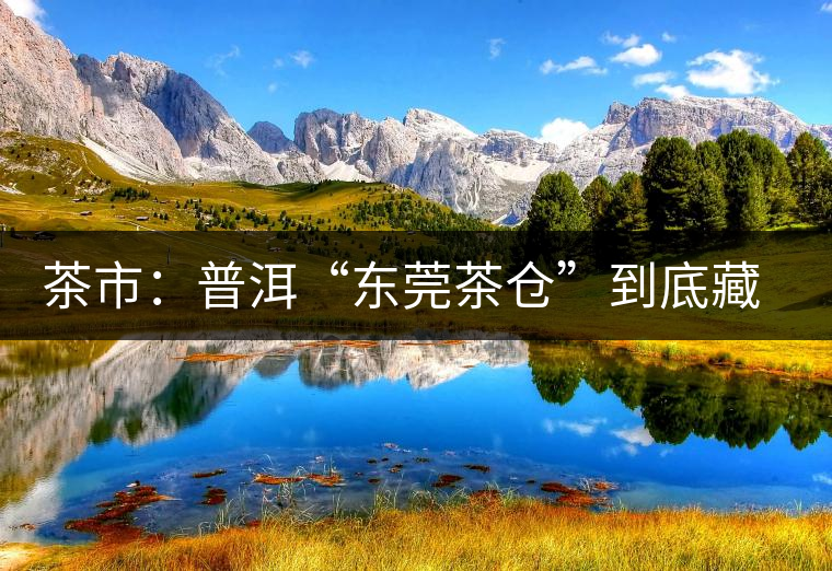 茶市：普洱“東莞茶倉(cāng)”到底藏給誰(shuí)喝？