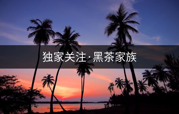 獨家關注·黑茶家族 獨家關注·黑茶家族