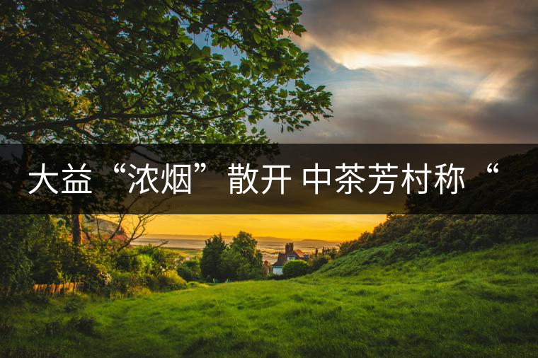 大益“濃煙”散開(kāi) 中茶芳村稱“王”？