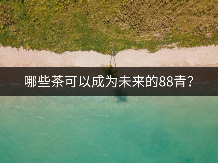 哪些茶可以成為未來的88青？