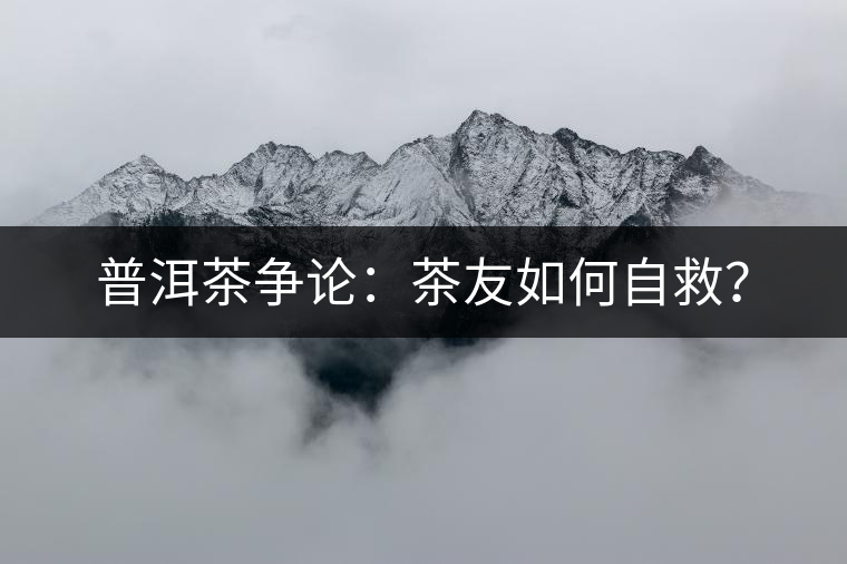 普洱茶爭論：茶友如何自救？