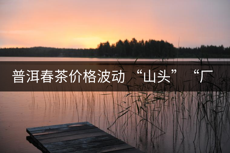 普洱春茶價格波動 “山頭”“廠貨”大不同——名山古樹 品的是歷史文化 普洱春茶價格波動 “山頭”“廠貨”大不同——名山古樹 品的是歷史文化