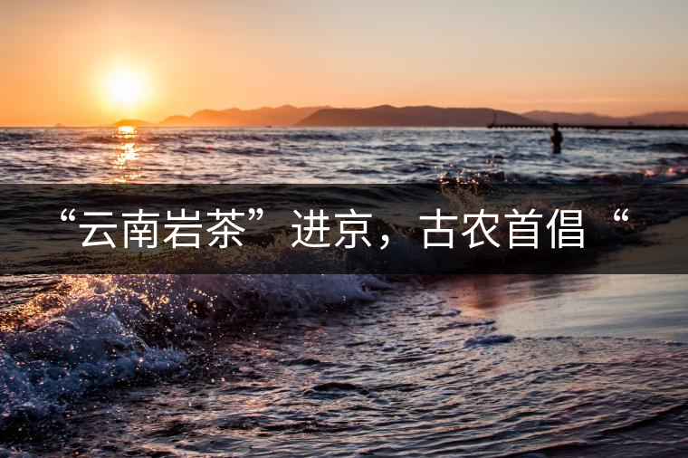 “云南巖茶”進(jìn)京，古農(nóng)首倡“名茶+名企”戰(zhàn)略