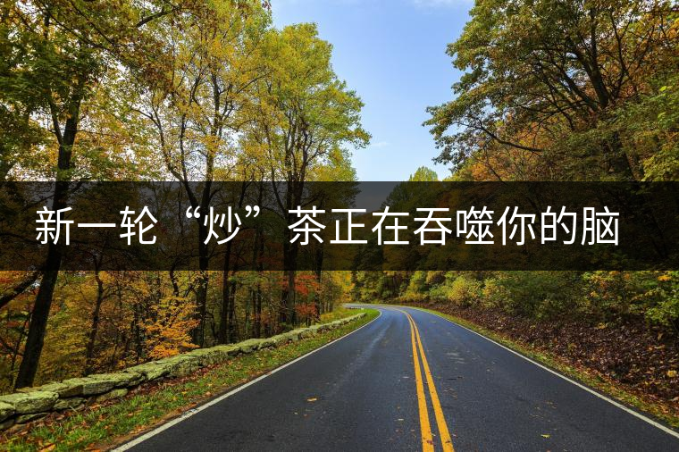 新一輪“炒”茶正在吞噬你的腦子，茶葉收藏不宜提倡