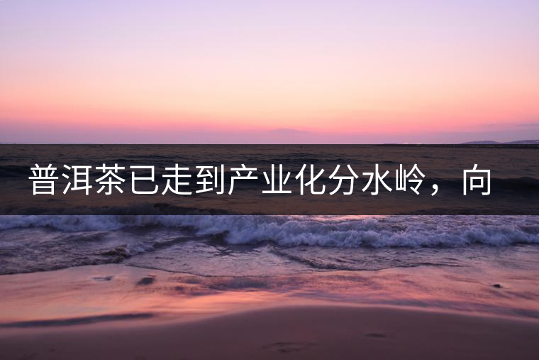 普洱茶已走到產(chǎn)業(yè)化分水嶺，向左還是向右？