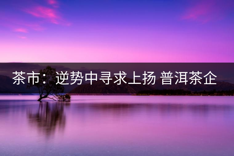 茶市：逆勢(shì)中尋求上揚(yáng) 普洱茶企靠什么打贏這場(chǎng)翻身仗？