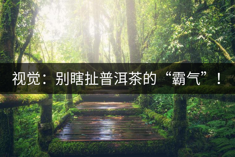 視覺(jué)：別瞎扯普洱茶的“霸氣”！偽大師！