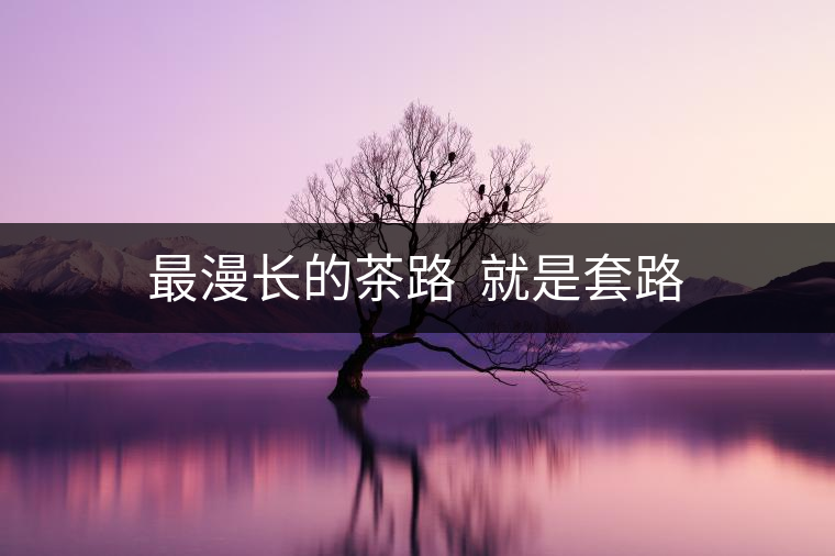 最漫長的茶路  就是套路