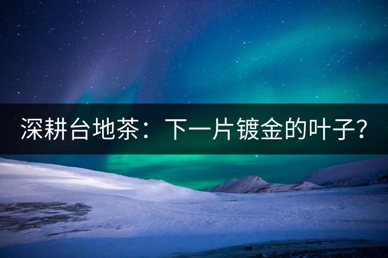 深耕臺地茶：下一片鍍金的葉子？