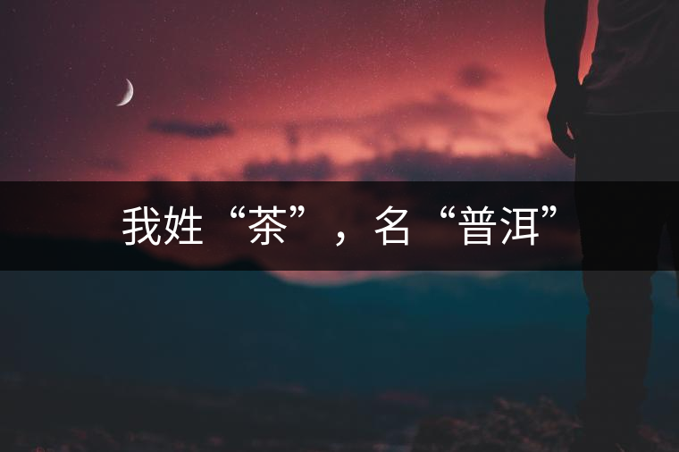 我姓“茶”，名“普洱”