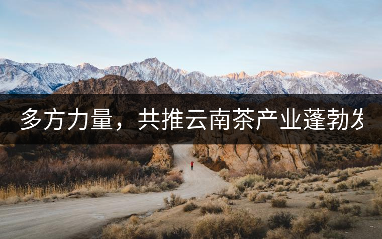 多方力量，共推云南茶產(chǎn)業(yè)蓬勃發(fā)展！
