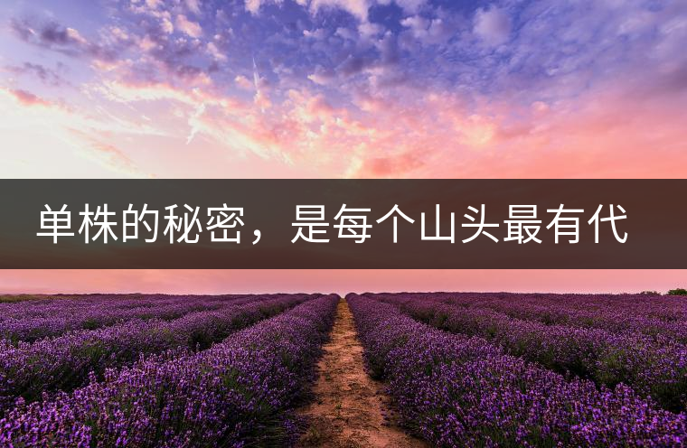 單株的秘密，是每個(gè)山頭最有代表性的味道？