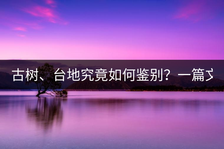 古樹、臺地究竟如何鑒別？一篇文章說透！