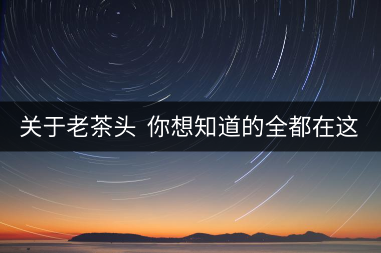 關(guān)于老茶頭  你想知道的全都在這兒啦！