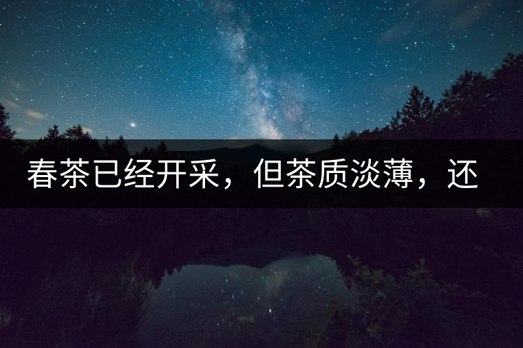 春茶已經(jīng)開采，但茶質(zhì)淡薄，還需一兩周