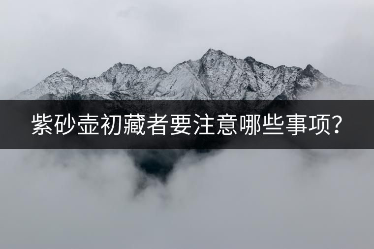 紫砂壺初藏者要注意哪些事項(xiàng)？