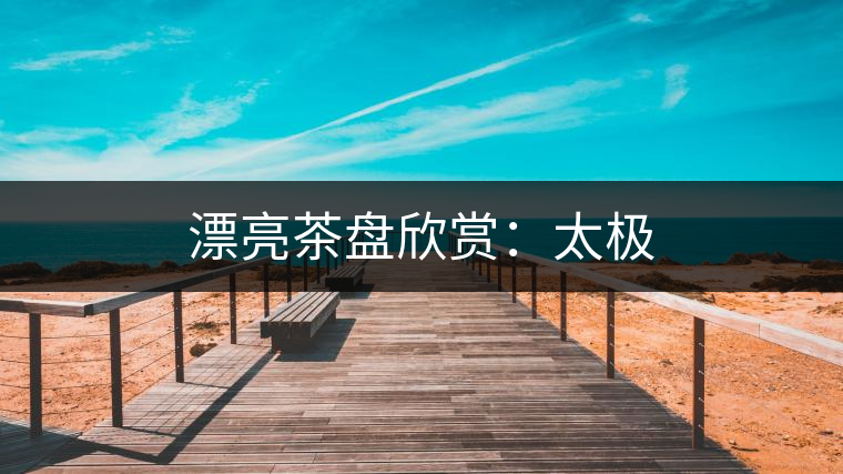 漂亮茶盤欣賞：太極