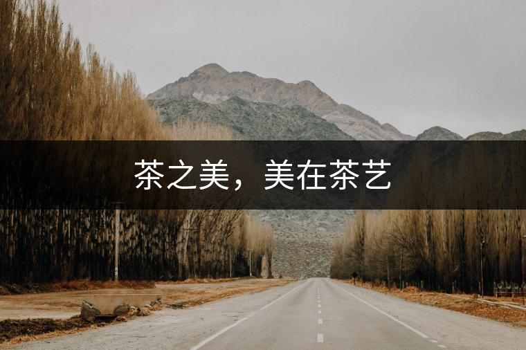 茶之美，美在茶藝
