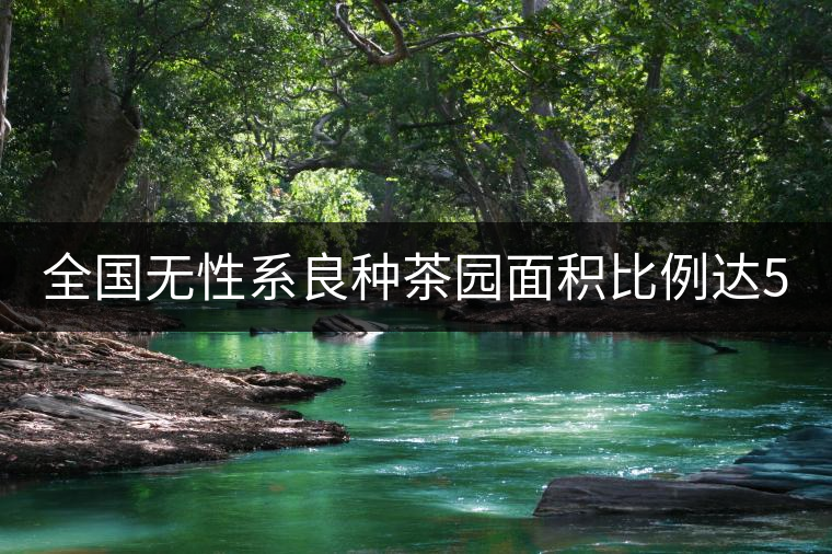 全國(guó)無(wú)性系良種茶園面積比例達(dá)56.5% 有機(jī)茶園6.2% 全國(guó)無(wú)性系良種茶園面積比例達(dá)56.5% 有機(jī)茶園6.2%