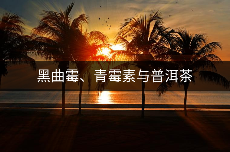 黑曲霉、青霉素與普洱茶