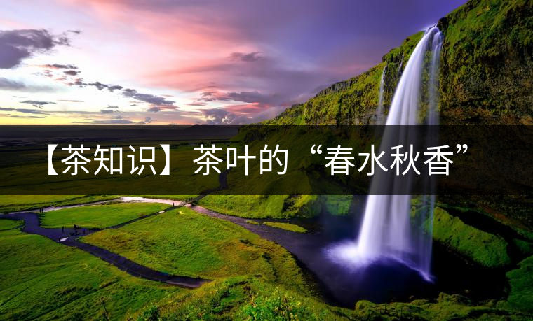 【茶知識】茶葉的“春水秋香”你知道嗎？