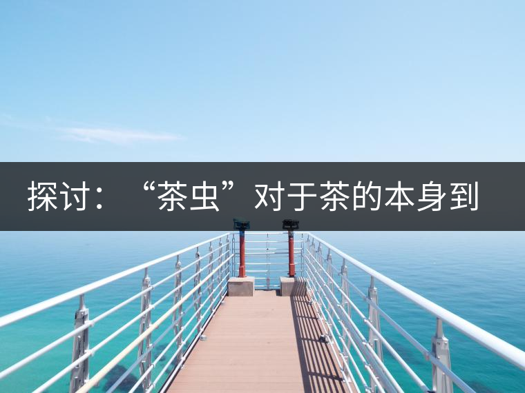 探討：“茶蟲”對于茶的本身到底是好是壞？