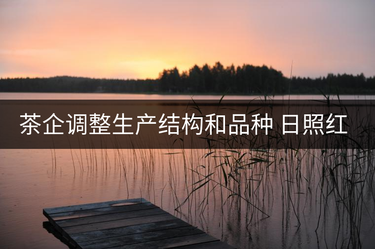 茶企調(diào)整生產(chǎn)結(jié)構和品種 日照紅茶產(chǎn)量銷量齊看漲 茶企調(diào)整生產(chǎn)結(jié)構和品種 日照紅茶產(chǎn)量銷量齊看漲