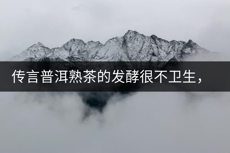 傳言普洱熟茶的發(fā)酵很不衛(wèi)生，是真的嗎？