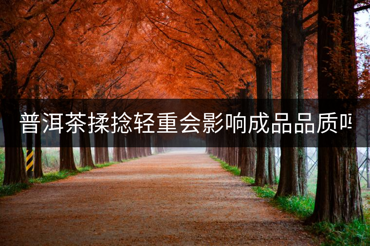 普洱茶揉捻輕重會影響成品品質(zhì)嗎？