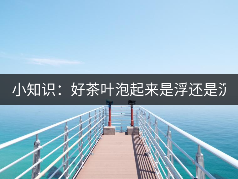 小知識：好茶葉泡起來是浮還是沉？