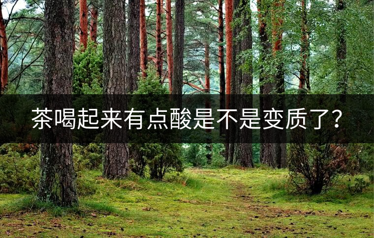 茶喝起來有點(diǎn)酸是不是變質(zhì)了？