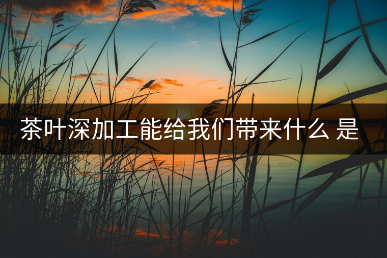 茶葉深加工能給我們帶來(lái)什么 是利還是弊呢？