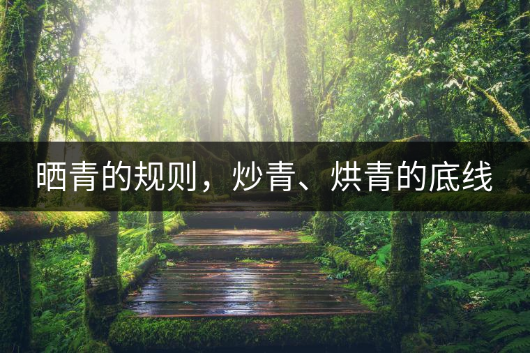 曬青的規(guī)則，炒青、烘青的底線