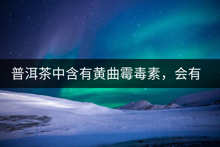普洱茶中含有黃曲霉毒素，會有致癌的危險(xiǎn)？終于有明確的答案了