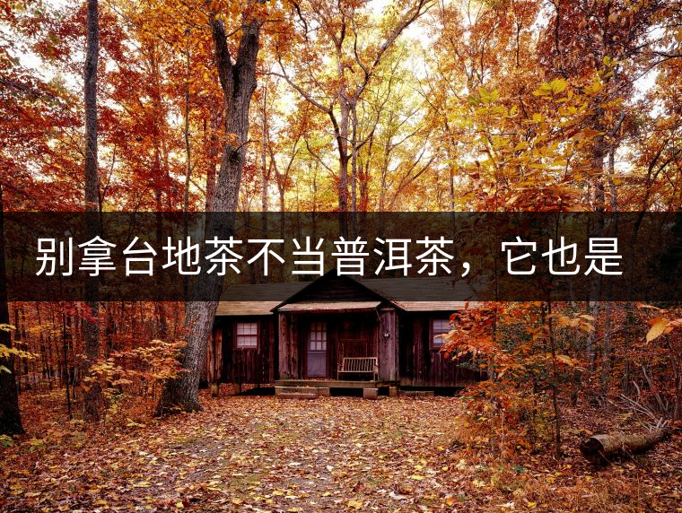 別拿臺(tái)地茶不當(dāng)普洱茶，它也是大葉種喬木