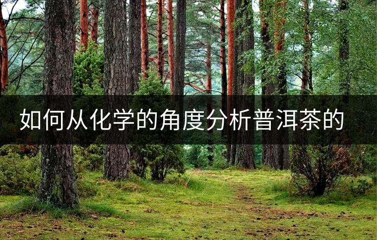 如何從化學(xué)的角度分析普洱茶的口感？