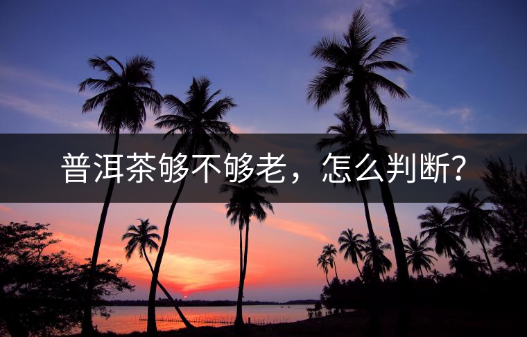 普洱茶夠不夠老，怎么判斷？