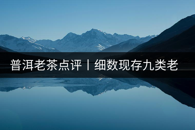 普洱老茶點(diǎn)評丨細(xì)數(shù)現(xiàn)存九類老茶的特點(diǎn)
