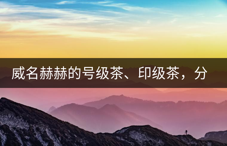 威名赫赫的號級茶、印級茶，分別是些什么普洱茶？