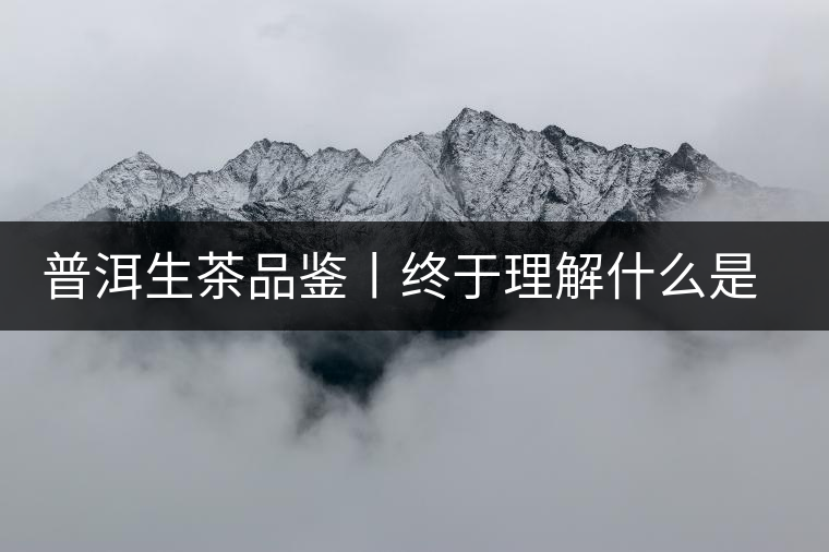 普洱生茶品鑒丨終于理解什么是“醇厚、耐泡，回甘”了