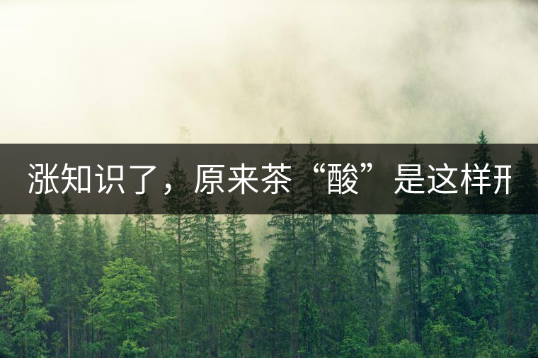 漲知識(shí)了，原來茶“酸”是這樣形成的！