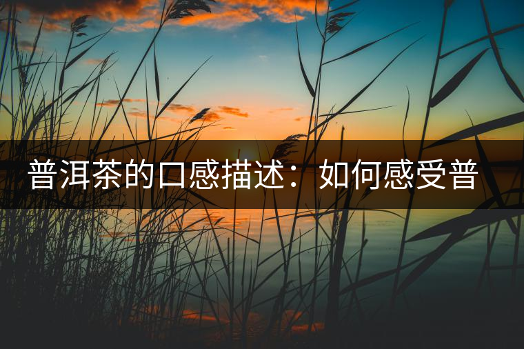 普洱茶的口感描述:如何感受普洱茶的味道 普洱茶的口感描述:如何感受普洱茶的味道