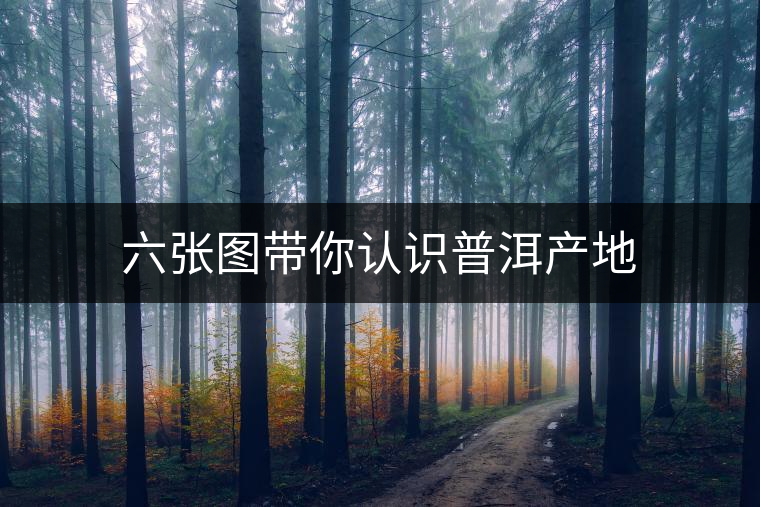 六張圖帶你認(rèn)識普洱產(chǎn)地