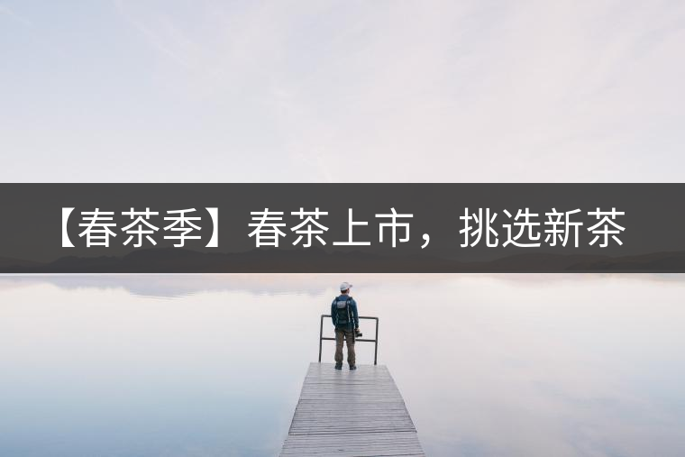 【春茶季】春茶上市，挑選新茶有講究