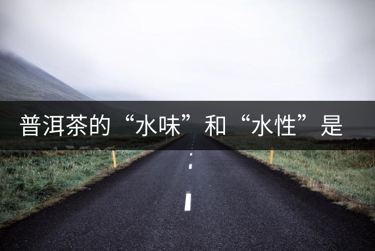 普洱茶的“水味”和“水性”是一種東西還是兩種東西？