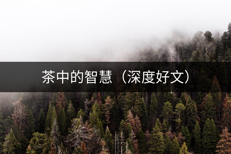 茶中的智慧(深度好文) 茶中的智慧(深度好文)