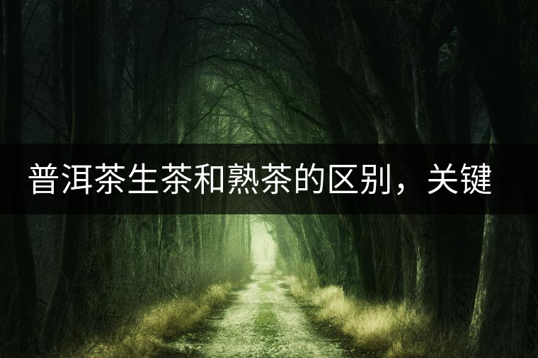 普洱茶生茶和熟茶的區(qū)別，關(guān)鍵在于前半生